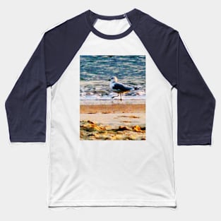 Seagulls - Seagull on Virginia Beach at Dawn Baseball T-Shirt